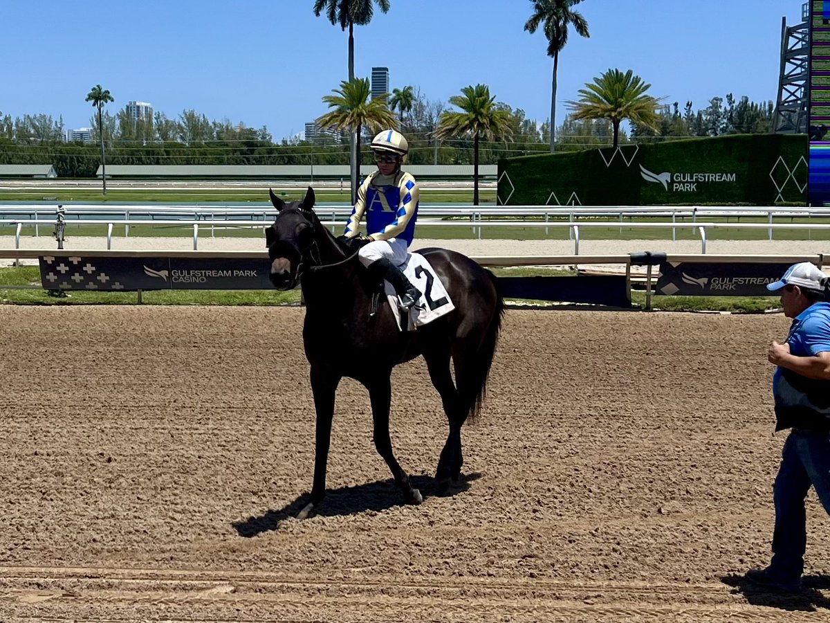 jimfromdaytona's tweet photo. Fun day @GulfstreamPark 
We know she wants more ground but she ran great. @OcalaStud @OBSSales https://t.co/lj75ITxhsl