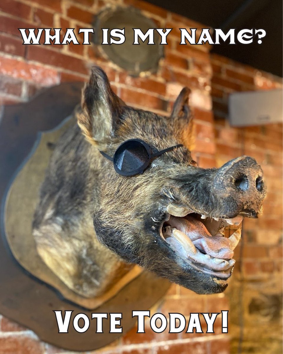 Today is the final day to vote on a name for our new friend. The person who suggested the winning name will receive some great Blind Pig Barber Co merch!

Vote today at forms.gle/PaDYMfS2q24VzZ…

#namethemascot #whatsmyname #blindpigbarber