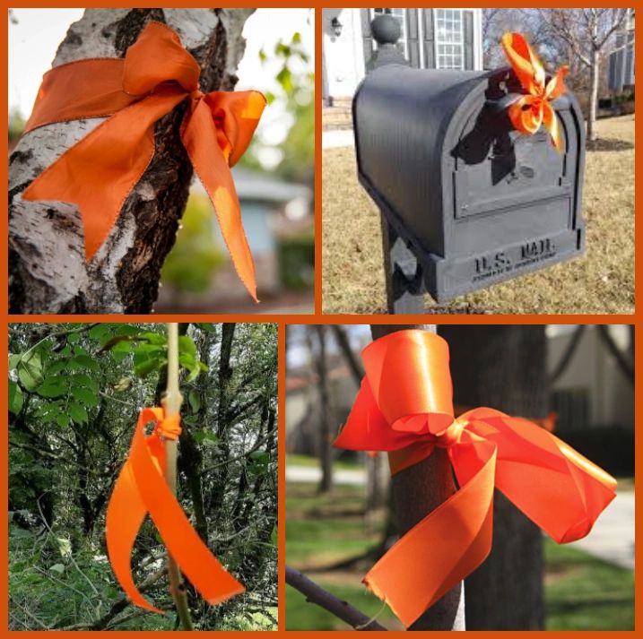 JereMemez's tweet photo. @libsoftiktok Together, we can find a cure for TDS 🎗🧡 #TDSNovember https://t.co/uNAYZAj0TL