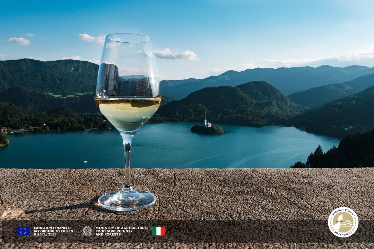 National Pinot Grigio Day ✨
Today, we honor the timeless charm of Pinot Grigio Delle Venezie DOC — a symbol of Italian elegance. Perfect with every dish, perfect on its own. A true icon of effortless sophistication.

#PinotGrigioDelleVenezieDOC #dellevenezie #pinotgrigiowine
