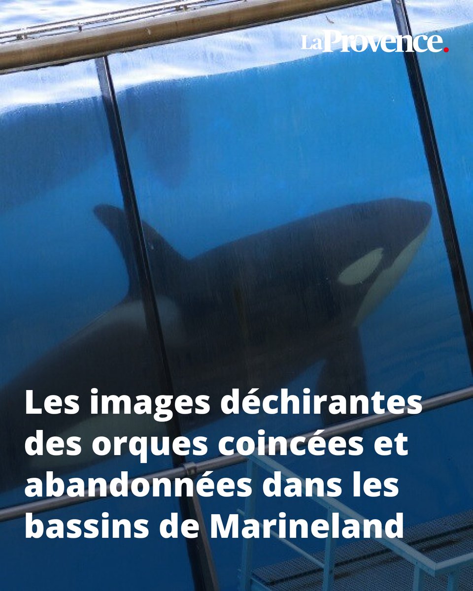 Horrible 😢
l.laprovence.com/dyQG