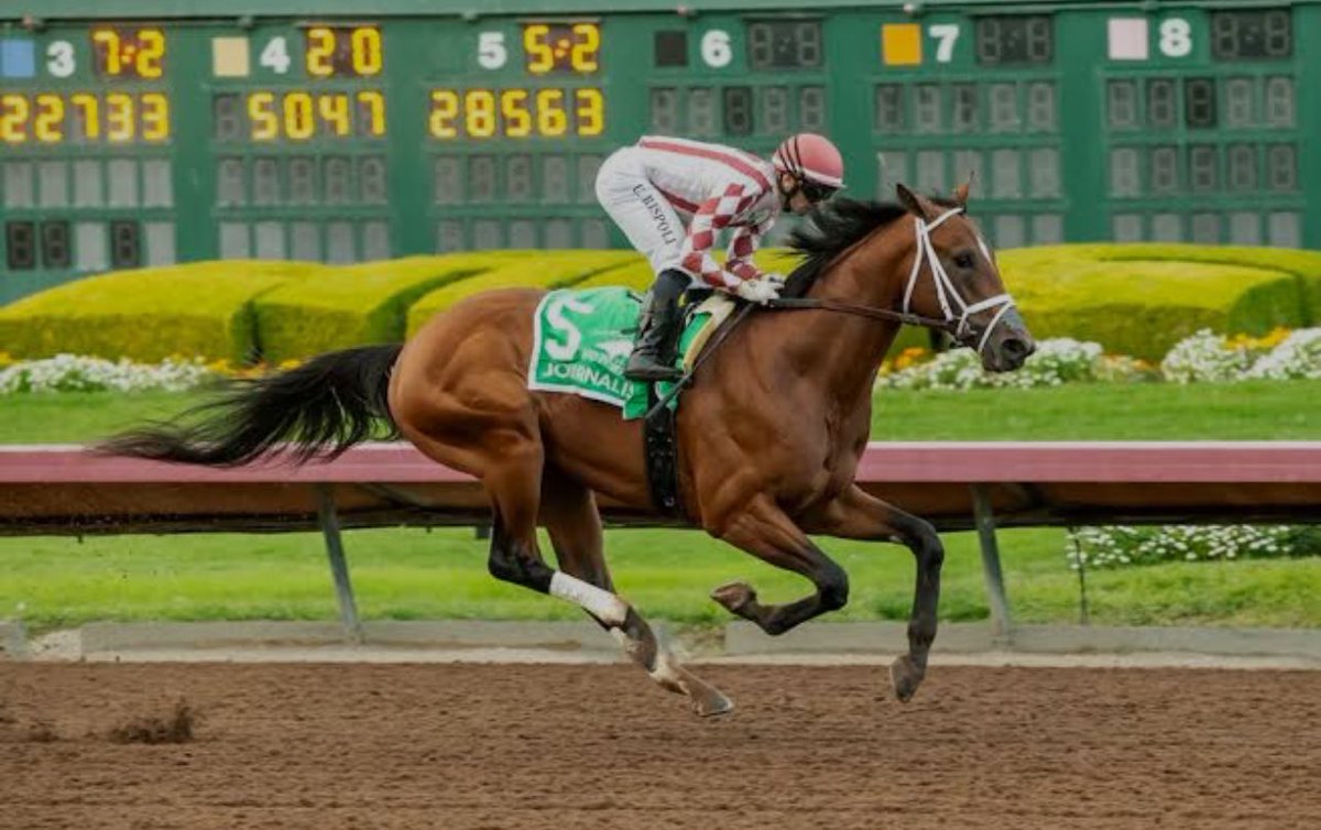 jimfromdaytona's tweet photo. Good luck tomorrow @mwmracing @EclipseTBP @AronWellman7 @PreaknessStakes https://t.co/gLLbSxrjEt