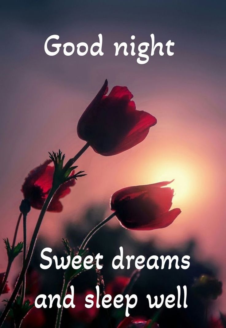 May your night be as calm and serene as the moonlit sky. Good night!🔙