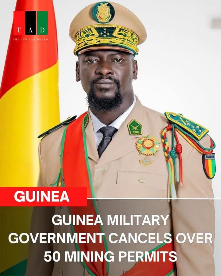Guinean government now wants total control over its mining sector.