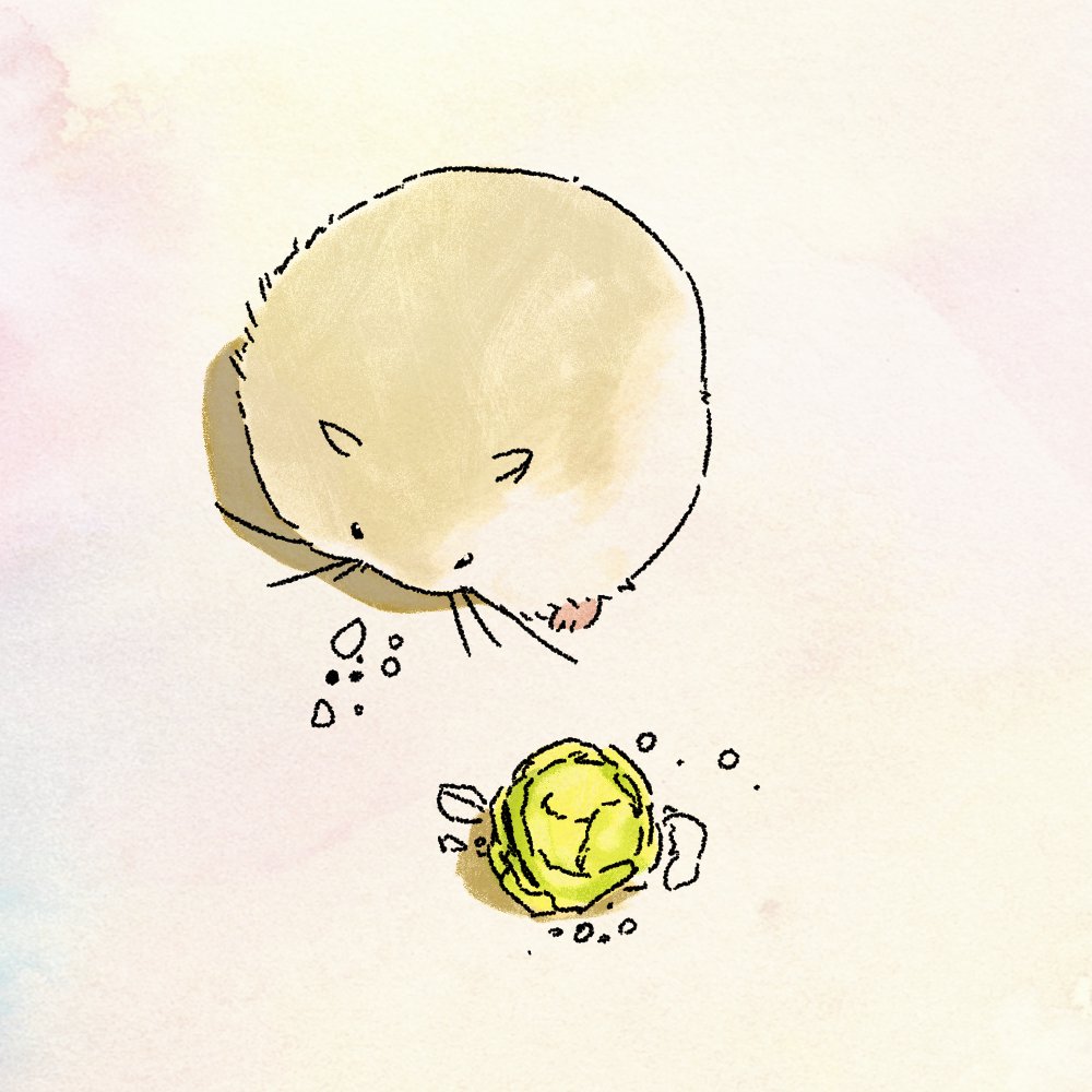 동그리 두배 이벤트