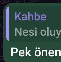 muhammedas's tweet photo. @lannsibell Kahbe 😂 https://t.co/sV7LBYiwGV