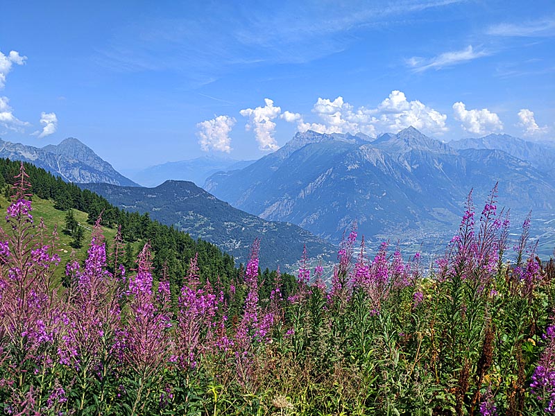 wanderspuren's tweet photo. Neues bei @wanderspuren - heute geht es weiter auf der Tour du Mont Blanc. Auch die Etappen 7 bis 9 haben es in sich. An unserem vorletzten Tag der Tour wagen wir uns an die berüchtigte Leiterpassage. #TMB #TourduMontBlanc https://t.co/ihbraOyFKf https://t.co/iZxLO2lTqK
