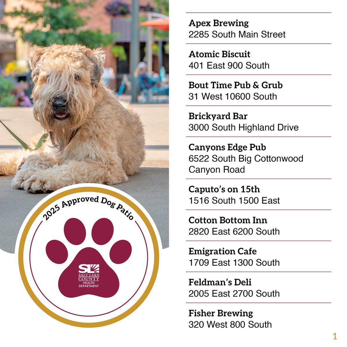 Salt Lake Health tweet media