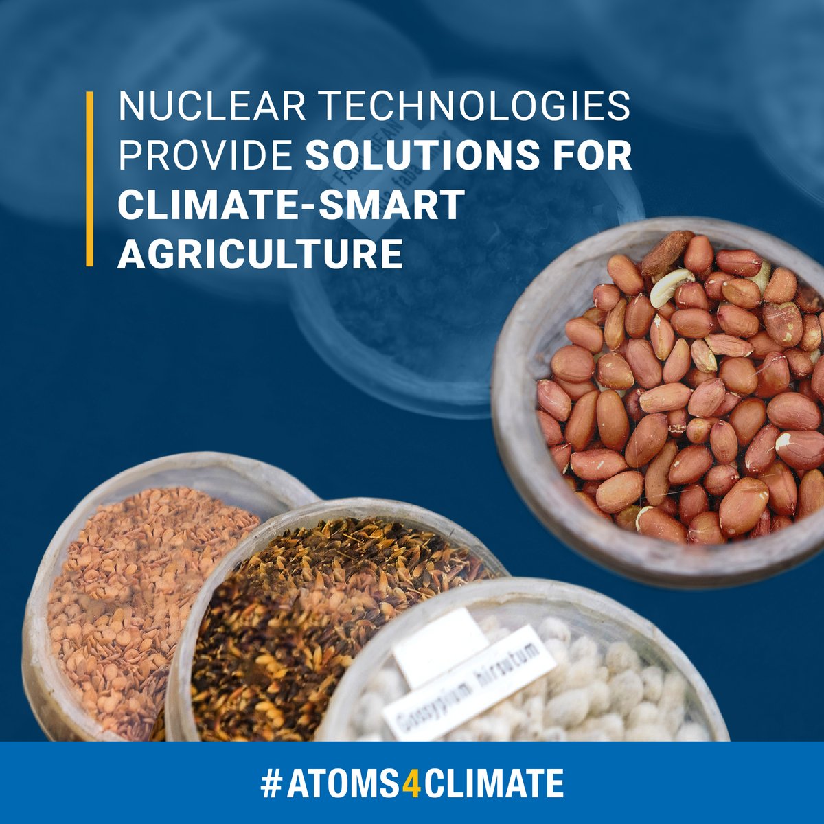 iaeaorg's tweet image. 🌾Did you know that nuclear technologies can help fight hunger and malnutrition, improve environmental sustainability and ensure that food is safe? #Atoms4Climate atoms.iaea.org/3sRwbsP