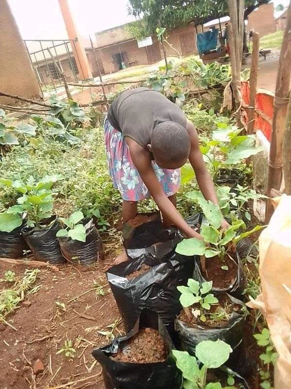 more_percent's tweet photo. Happy to facilitate 15 young people under 24 years with practical skills in sustainable farming. A key enabler to empowering communities in poorer areas https://t.co/HdIm6FYXqw