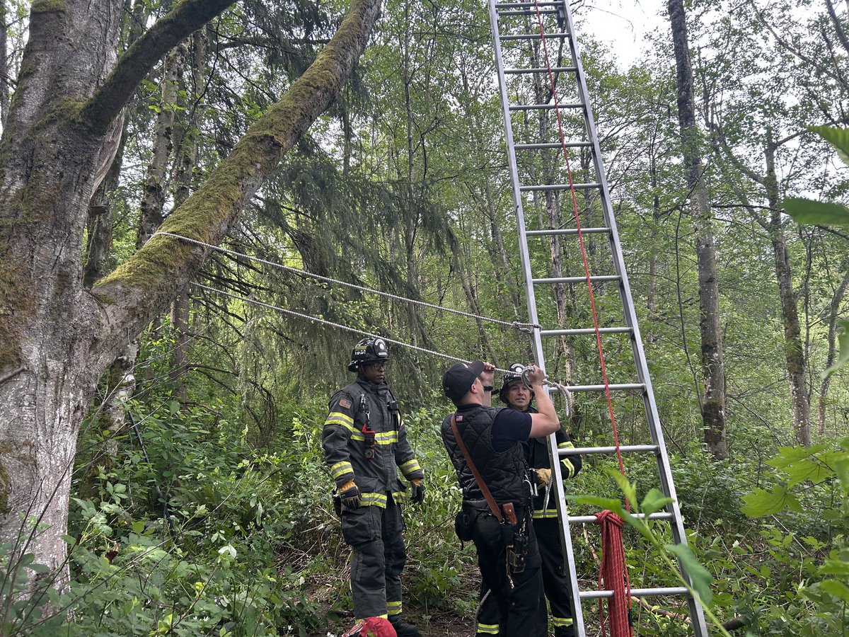 We're always ready to lend a helping hand—sometimes even to those with wings! 
This past Saturday, Truck 72 responded to a barn owl that was wrapped in fishing line and stuck about 30 feet up in a tree at Bradley Lake Park.
Firefighters used a 35-foot ladder and net to