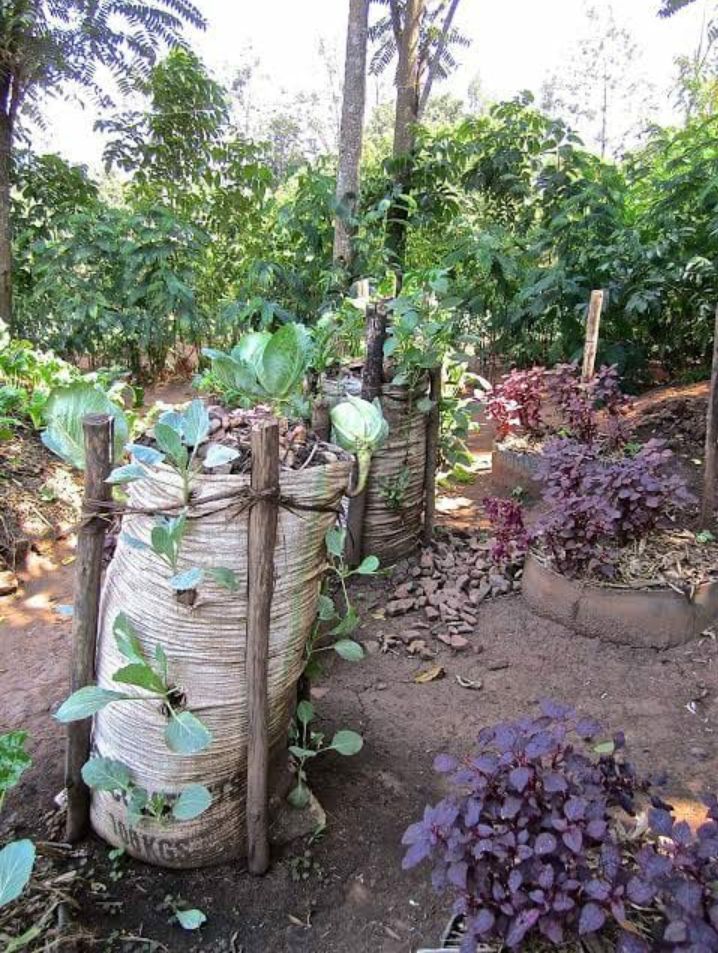 more_percent's tweet photo. Happy to facilitate 15 young people under 24 years with practical skills in sustainable farming. A key enabler to empowering communities in poorer areas https://t.co/HdIm6FYXqw