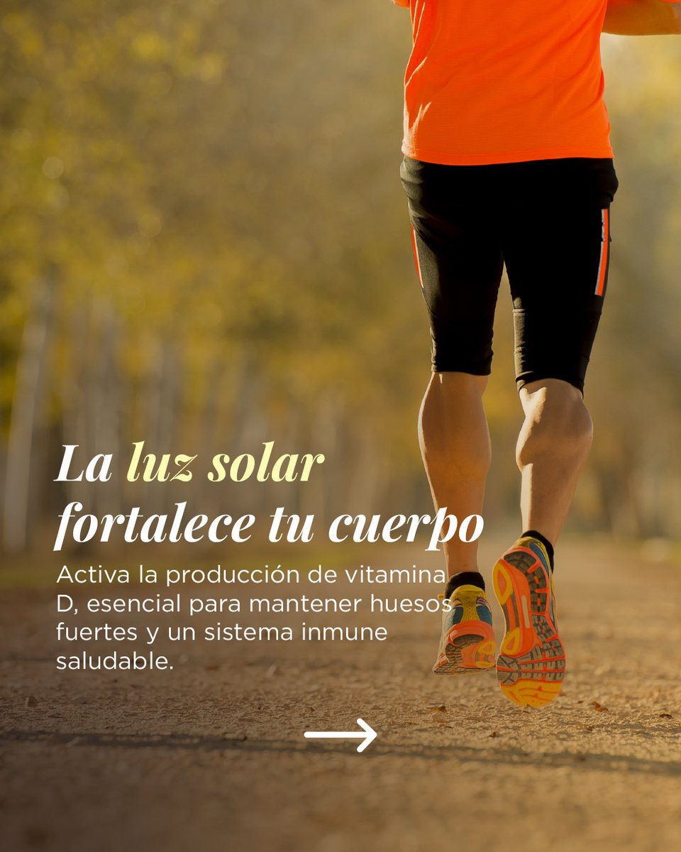 ☀️ El Día Mundial de la Luz nos recuerda los increíbles beneficios que aporta la luz solar a nuestro bienestar. 

¿Por qué es tan importante exponerse a la luz natural?
1️⃣ Mejora tu estado de ánimo
2️⃣ Regula tu ritmo biológico
3️⃣ Fortalece tu cuerpo