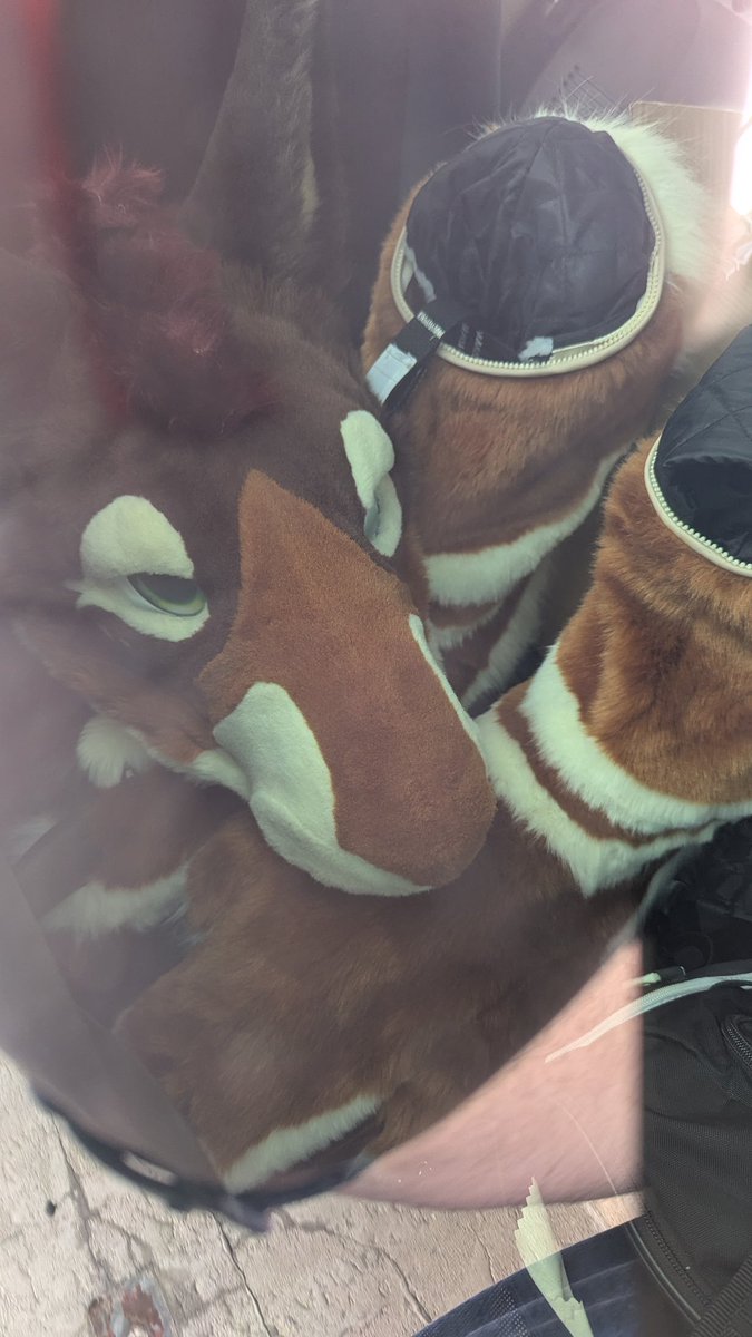 That_Iode's tweet image. 👀