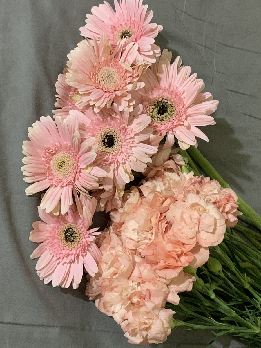 gyeagerst's tweet photo. Gerbera, carnation, and Princess Diana🤍 https://t.co/4ldJ0NWMcQ