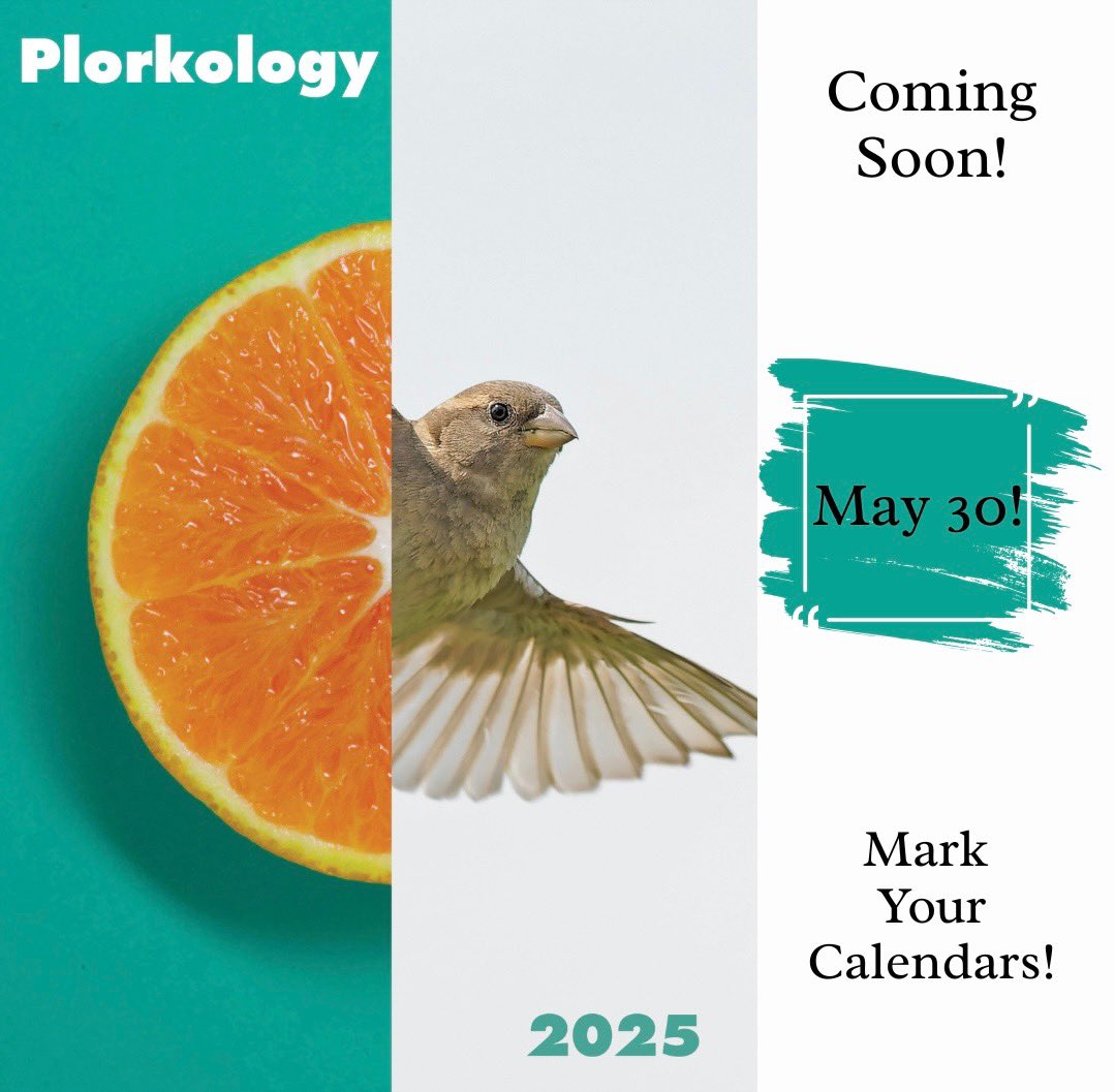Plorkology 2025 is coming May 30th! 📚 You can get your copy soon. 🤗

#litmags #literaryjournal #literarypress #writingcommunity