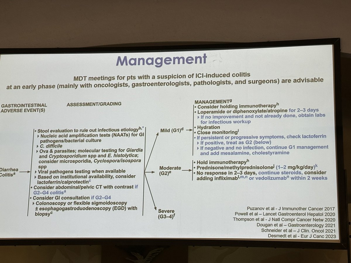 Beatriz Gros tweet media