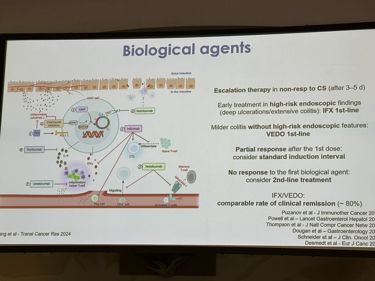 Beatriz Gros tweet media