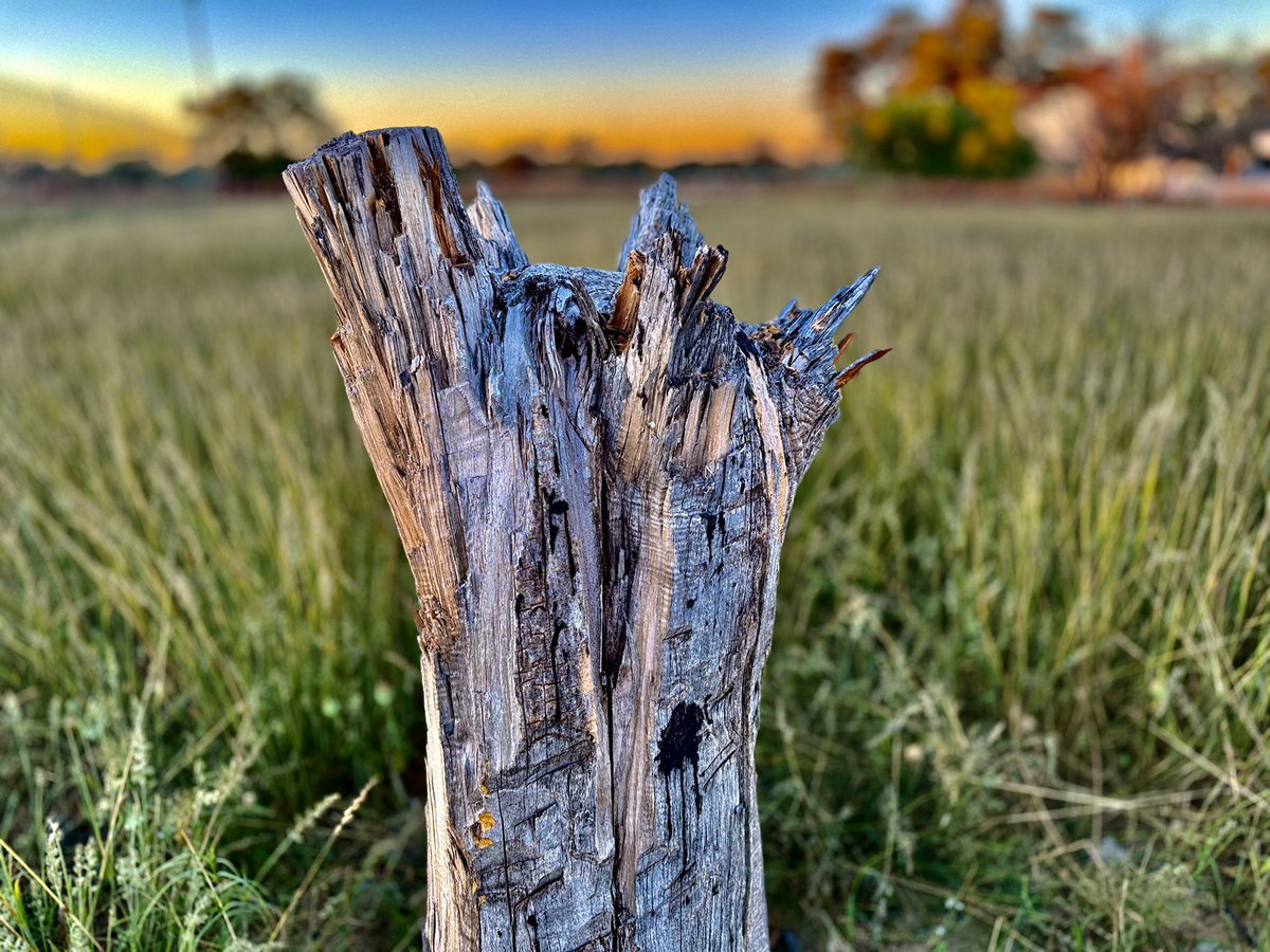 What’s one photo you’ll never delete from your phone, no matter what?