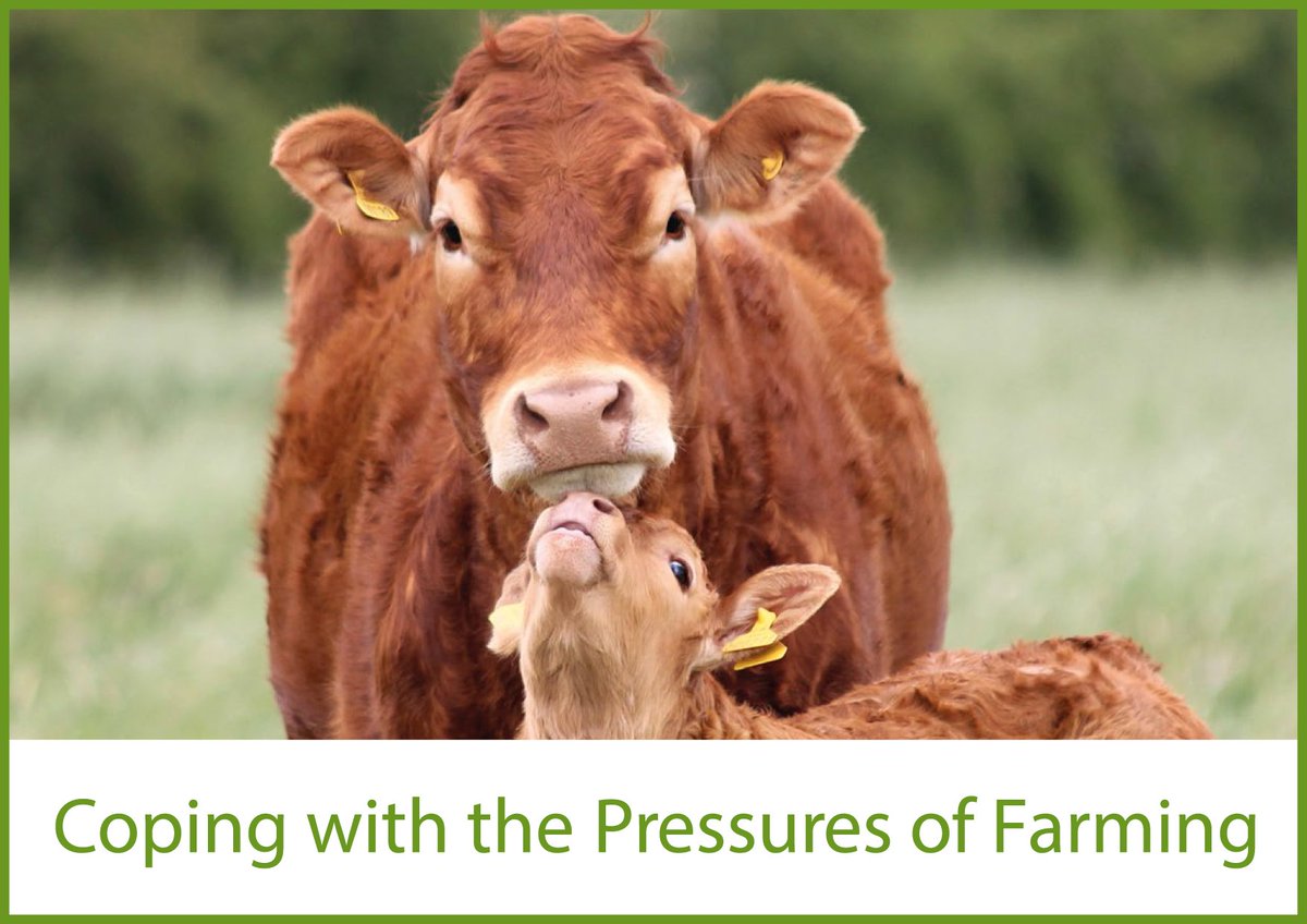 HSENI (@hsenigov) on Twitter photo Staying well mentally is just as important as staying well physically. Dealing with stress, especially in the current climate can be very challenging.
<a href="/RuralSupport/">Rural Support</a> has produced an excellent resource for farmers and farming families, download it here: ruralsupport.org.uk/download/copin… Staying well mentally is just as important as staying well physically. Dealing with stress, especially in the current climate can be very challenging.
<a href="/RuralSupport/">Rural Support</a> has produced an excellent resource for farmers and farming families, download it here: ruralsupport.org.uk/download/copin…