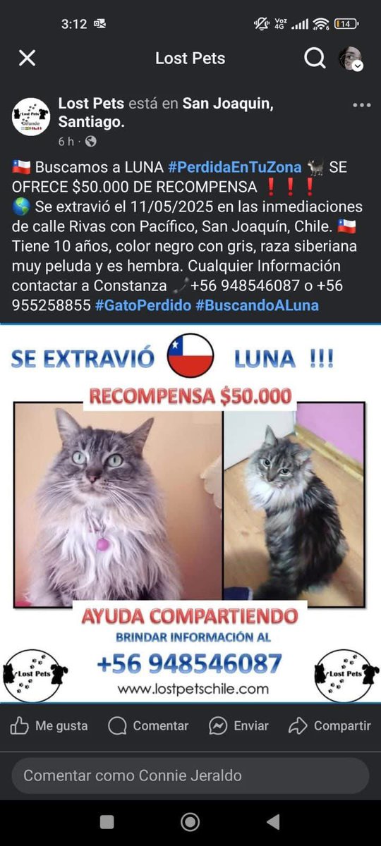 Se busca #SanJoaquin #Santiago #Chile #PalabraDeHonor  <a href="/Fundacion_CIMA/">Fundación C.I.M.A. Chile</a> <a href="/kattykowaleczko/">Katty Kowaleczko</a>