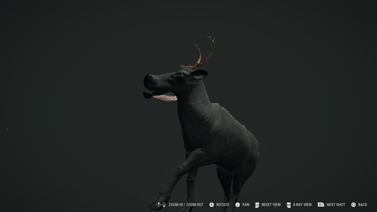 Monarch__99's tweet photo. @theHunterCOTW https://t.co/OHflV3TVam