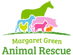 The Pet Experience tweet media