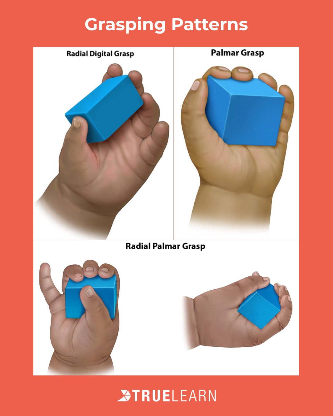 Basic Grasp Patterns.pdf Finger Grasp Patterns Grasping Development…What Should My Child's