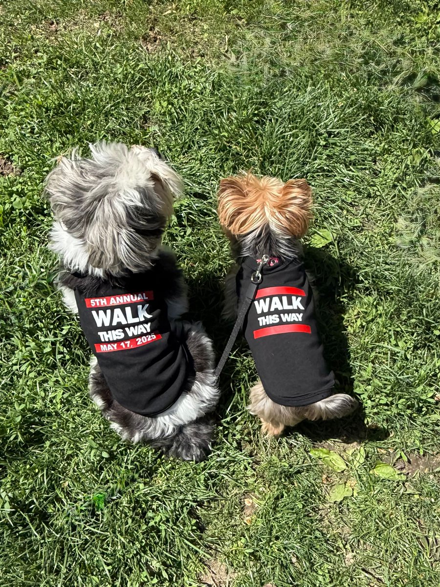We humans at Team Felix have done our fair share of plugging Walk This Way….it’s time to hand it over to the dogs! 
*
*
*
Thank you <a href="/kardag/">kardag</a> for the cutest snapshot of our littlest members of Team Felix!
