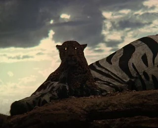 conor_draws's tweet image. Been talked about before by others, but the very brief leopard scene in 2001 A Space Odyssey exploded my brain and sort of still does. I learned something new about blocking/composition/contrast.