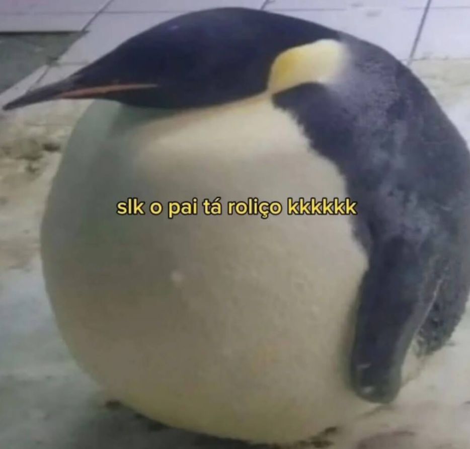 memes extremamente horríveis (ou bons) (@memes_horriveis) on Twitter photo 