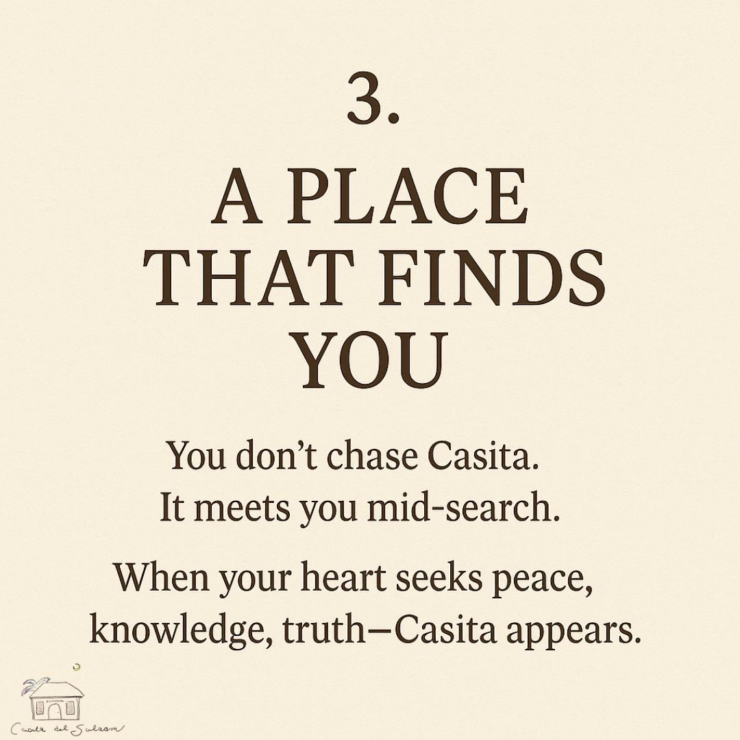 casitadelsalaam's tweet image. ✨ You don’t find Casita. Casita finds you.
A haven whispered to you by someone who cares.
Not a retreat. A return. 🌿 #CasitaDelSalaam #FindYourPeace #InvitationOnly