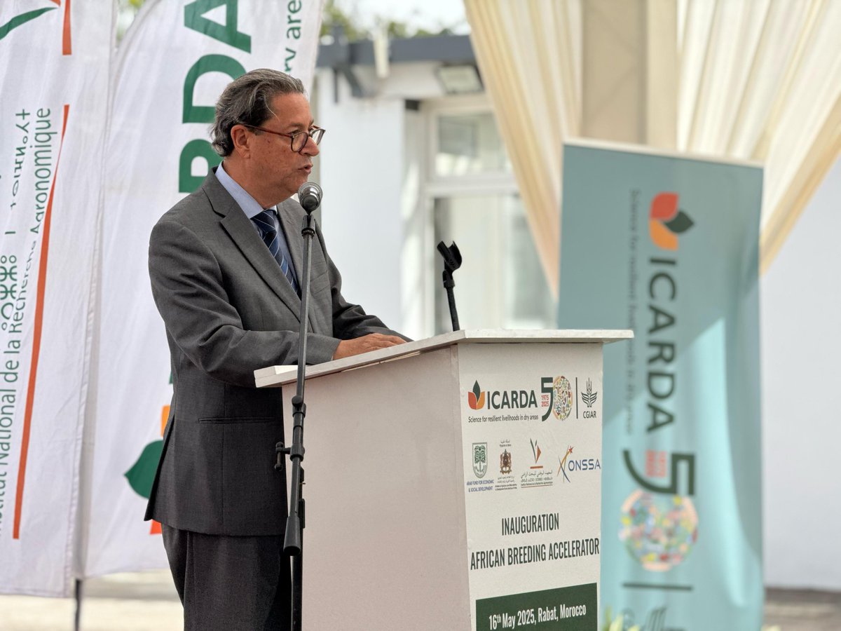 🚨 #HappeningNow
Historical moment in Morocco! We’re celebrating the inauguration of the African Breeding Accelerator! A groundbreaking facility designed to dramatically cut the time needed to bring improved crop varieties from the lab to farmers’ fields.

👏 Thanks to our