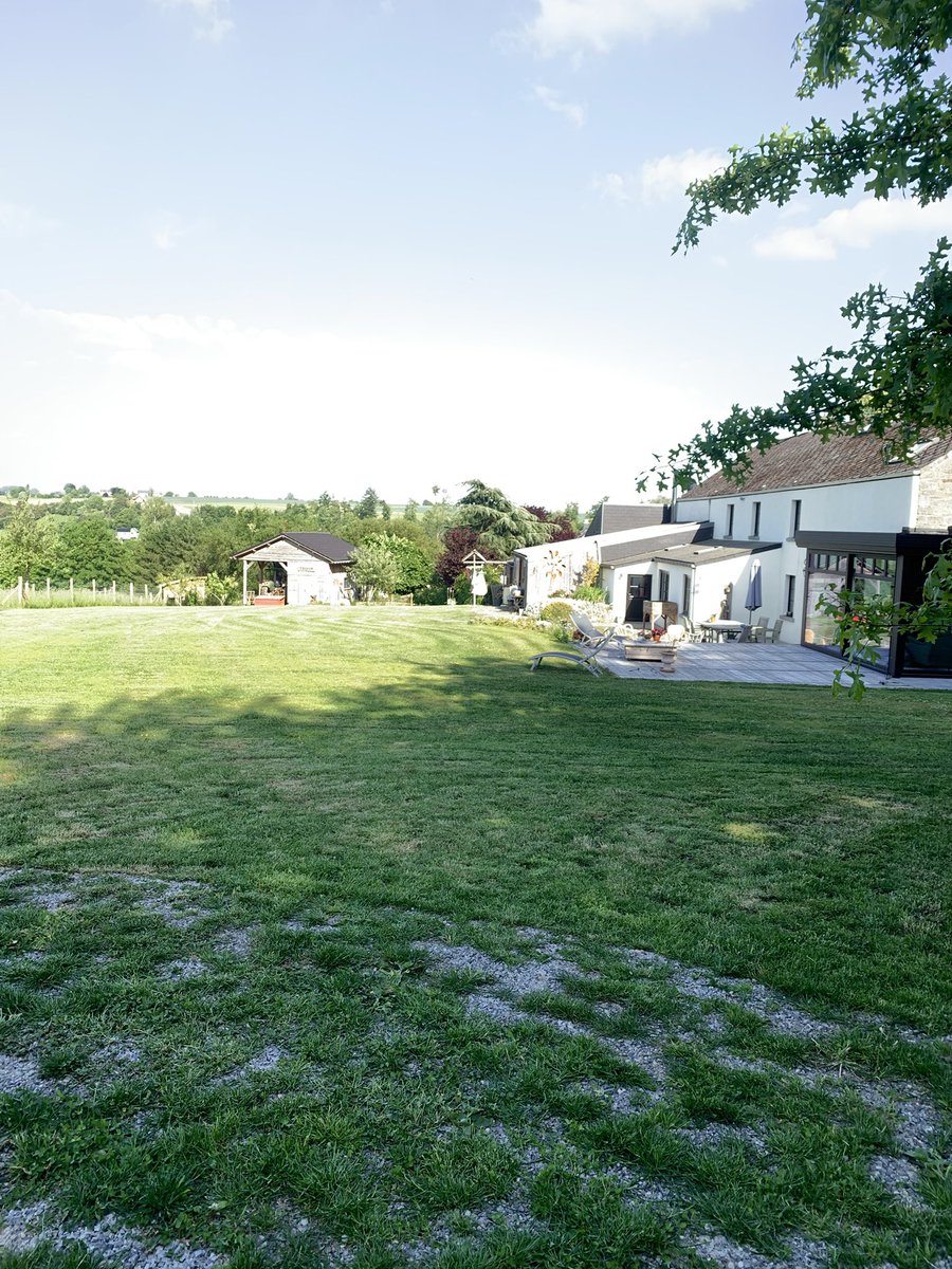 random_quickos tweet media