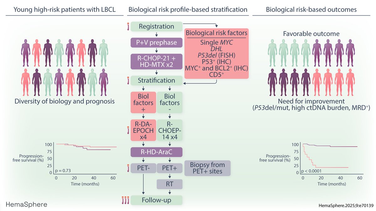 Sirpa Leppa (@leppasm) on Twitter photo Happy to share the results of the Nordic biomarker-adapted trial in patients with high-risk LBCL (NLG-LBC-06) just released online in <a href="/Hemasphere_EHA/">HemaSphere Journal (IF = 11.9)</a> at
onlinelibrary.wiley.com/doi/10.1002/he…
We learned that prospective stratification according to biological risk factors is feasible. Happy to share the results of the Nordic biomarker-adapted trial in patients with high-risk LBCL (NLG-LBC-06) just released online in <a href="/Hemasphere_EHA/">HemaSphere Journal (IF = 11.9)</a> at
onlinelibrary.wiley.com/doi/10.1002/he…
We learned that prospective stratification according to biological risk factors is feasible.