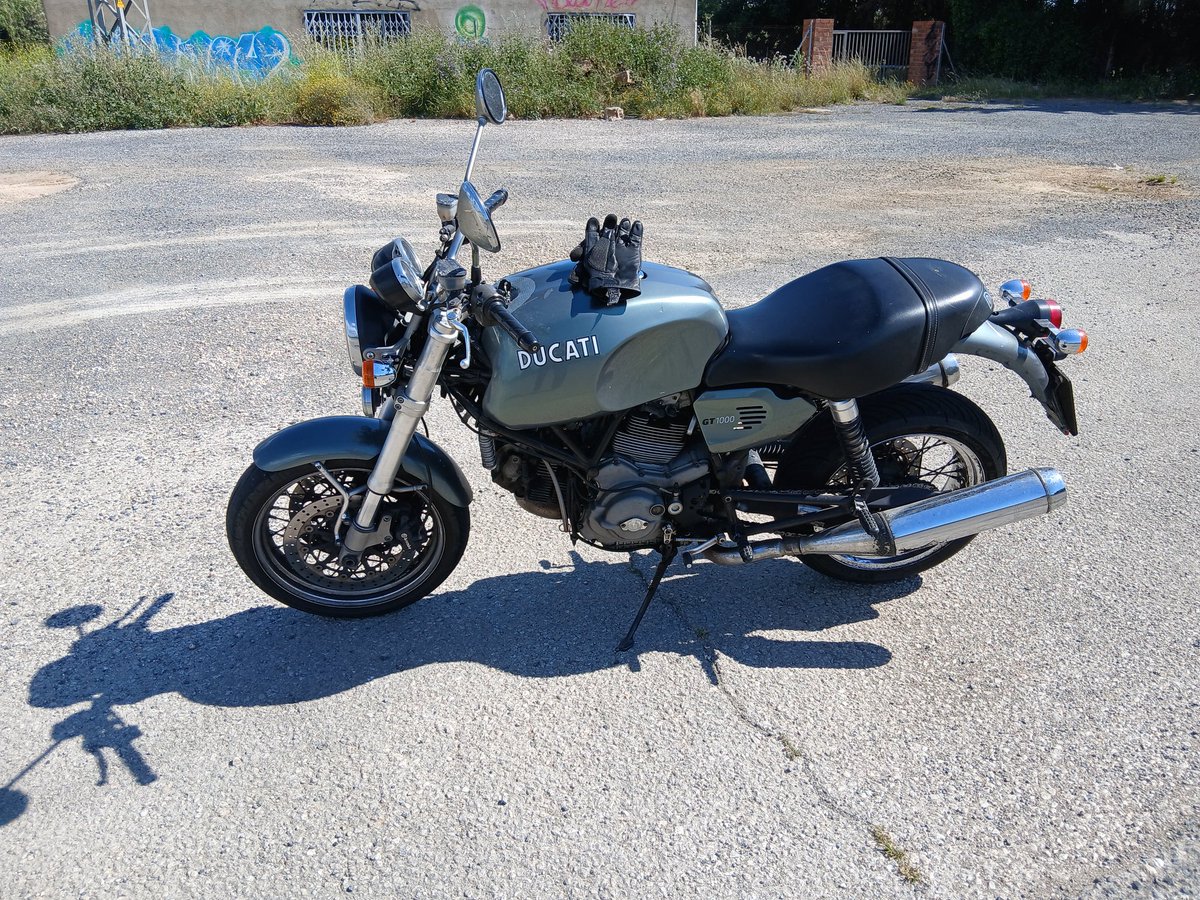 Joan Rofes Mestre tweet media