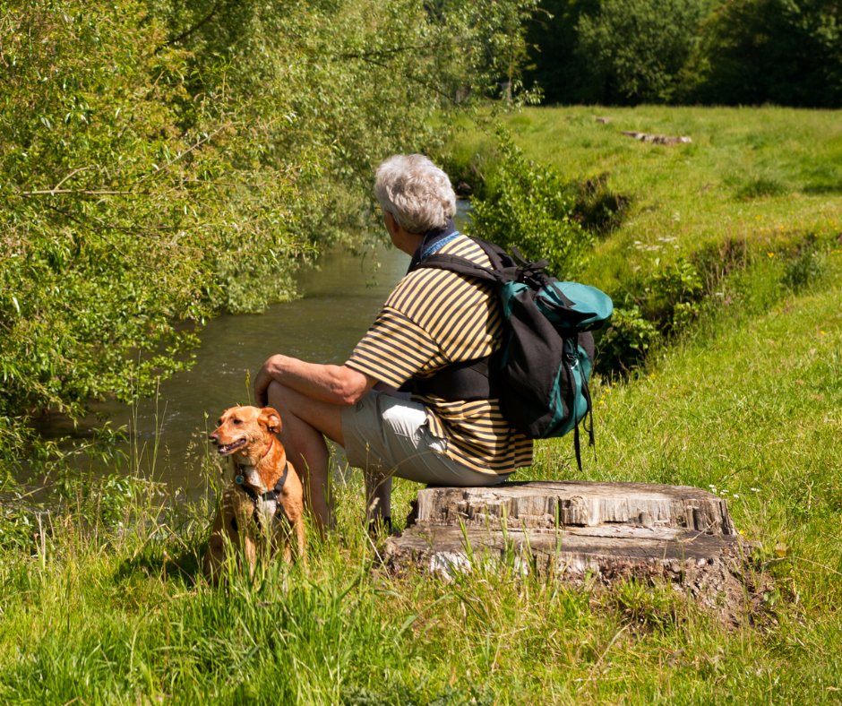 “Being by a river is a mind cleanse: it makes you forget your troubles and live in the moment.” 💧🧘‍♂️

This #MentalHealthAwarenessWeek, our team share their thoughts on the benefits they feel from spending time around rivers: wildtrout.org/wttblog/findin…
