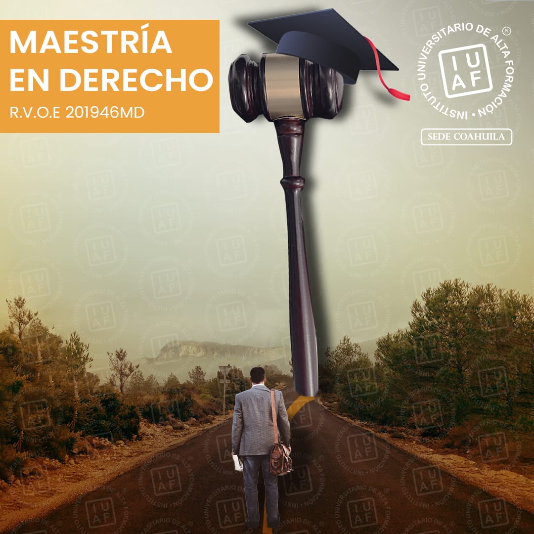 Javier Diez de Urdanivia tweet media