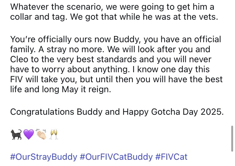 LadyChessington's tweet image. Buddy Update: 🐈‍⬛💙

Buddy is now home. The good news is he’s officially adopted and microchipped which means he’s no longer, Our Stray Buddy 👏🏻👏🏻

The sad news is, Buddy tested positive for FIV…

Continued ⬇️

🐈‍⬛💜👏🏻🥂

#OurStrayBuddy #OurFIVCatBuddy #FIVCat