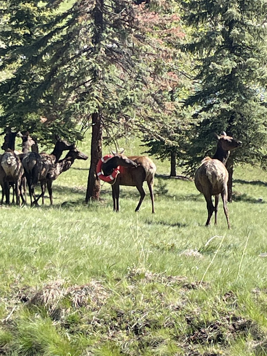 CPW NE Region tweet media