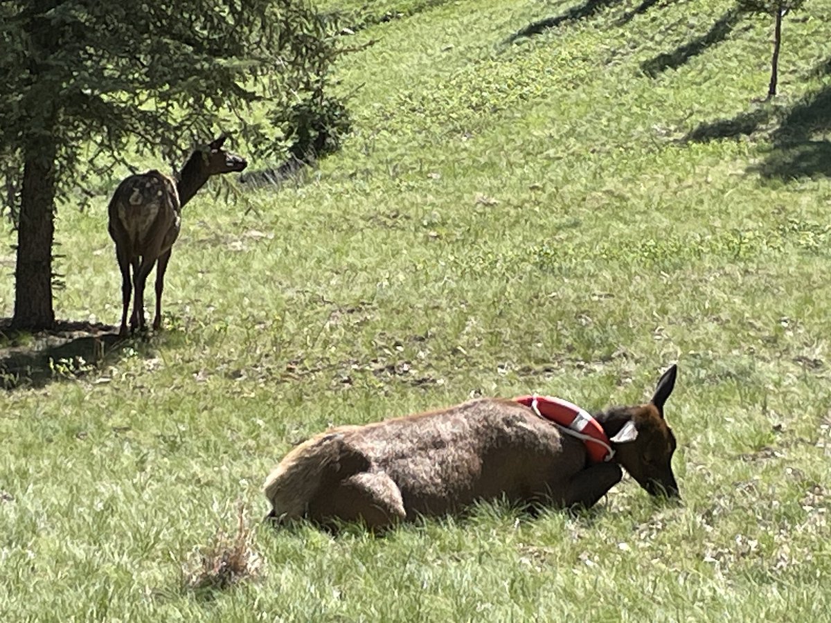 CPW NE Region tweet media