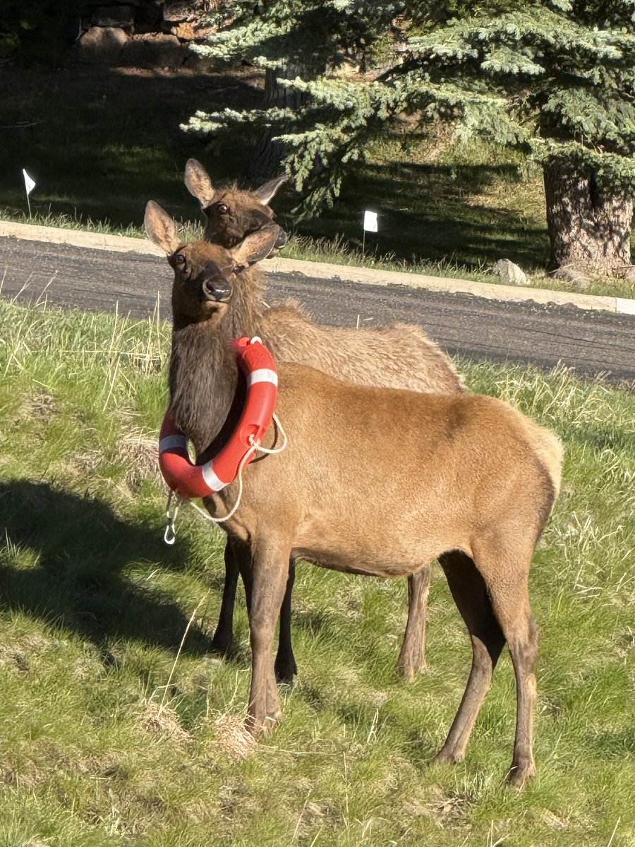 CPW NE Region tweet media