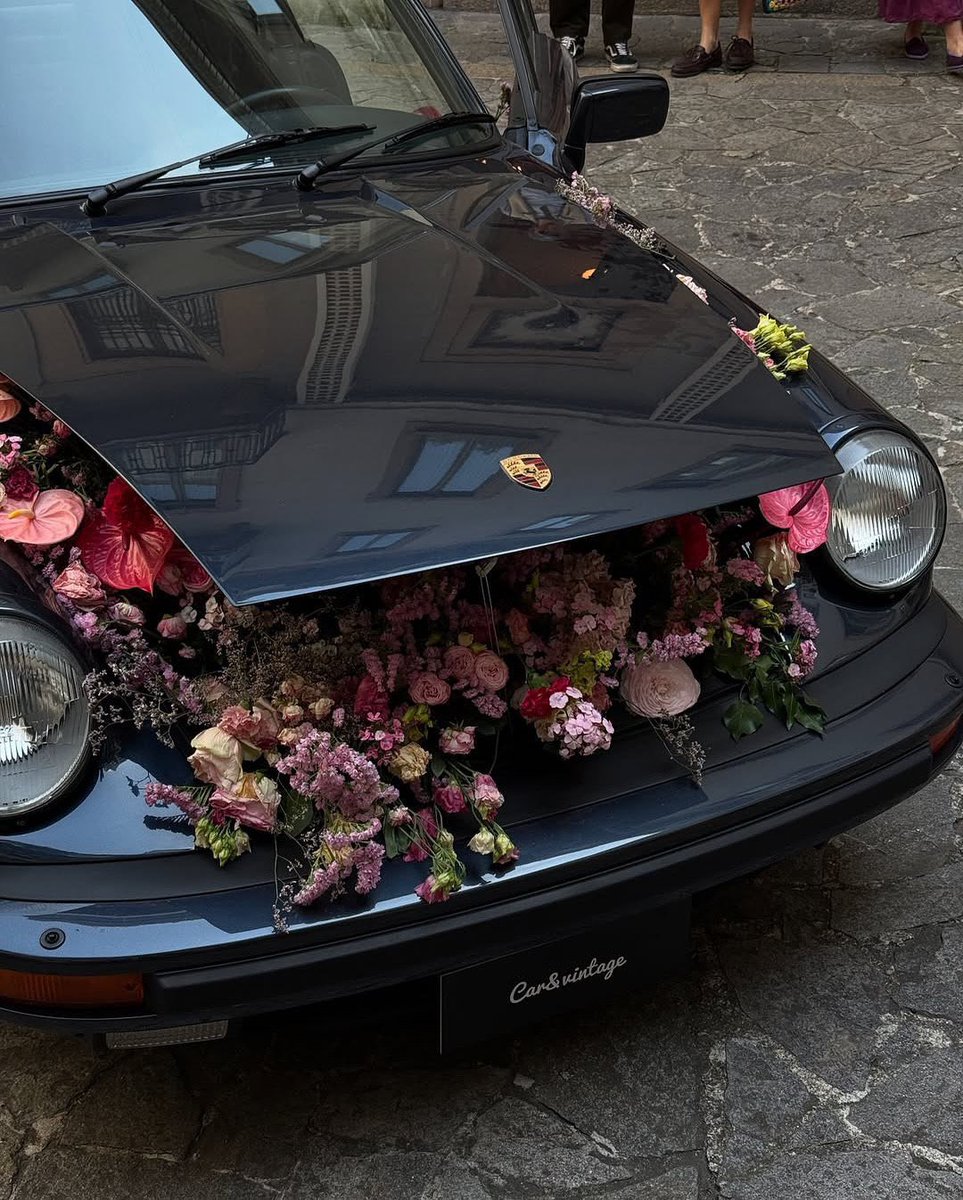 Butterflless's tweet image. 