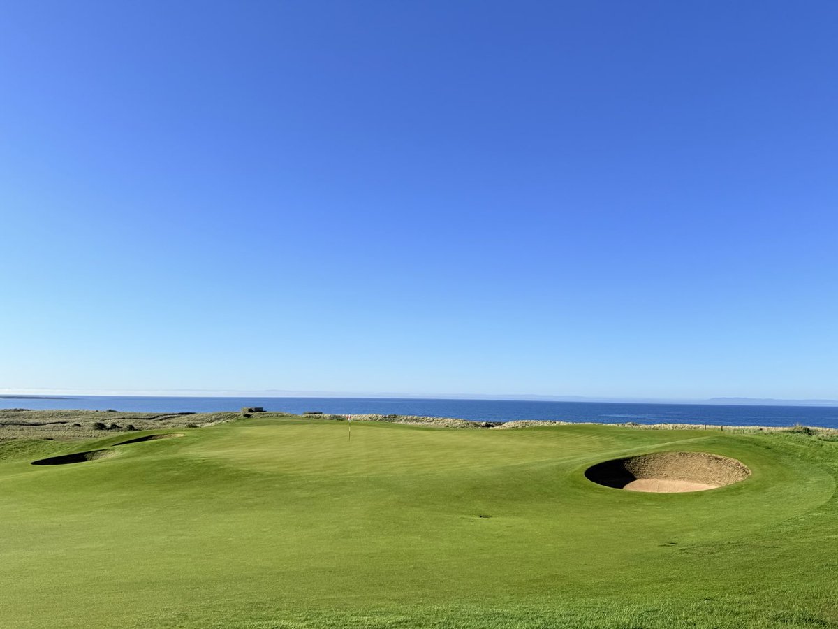 Grahame Taylor tweet media