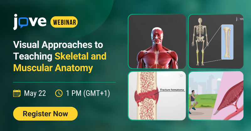 JoVEJournal's tweet photo. 📢 Upcoming Webinar - Visual Approaches to Teaching Skeletal and Muscular Anatomy
 
💡Discover how videos &amp; quizzes can enhance student engagement and improve learning outcomes.

💾 Reserve your spot! 🔗Register now: https://t.co/oBwRAGS1hR

#JoVEWebinar #Professor #Anatomy