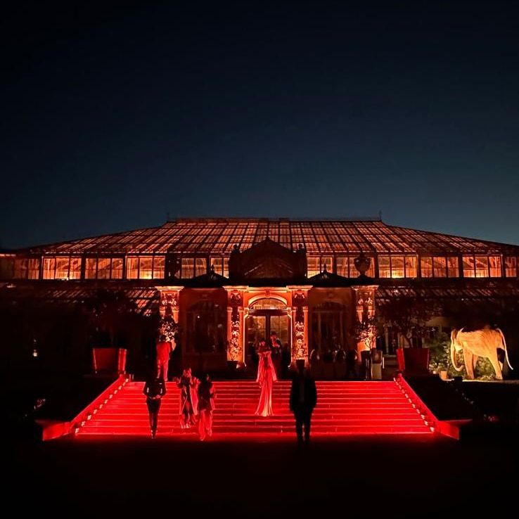 stormlightinguk's tweet photo. Delighted to be chosen as the production supplier for the amazing @elephantfamily Charity at Temperate House at Kew Gardens

Their Majesties The King and Queen as Joint Presidents of the Elephant Family attended the #WondersOfTheWild event at Kew.

📸 Hugh Thompson Photography https://t.co/RiwUnKmBTj