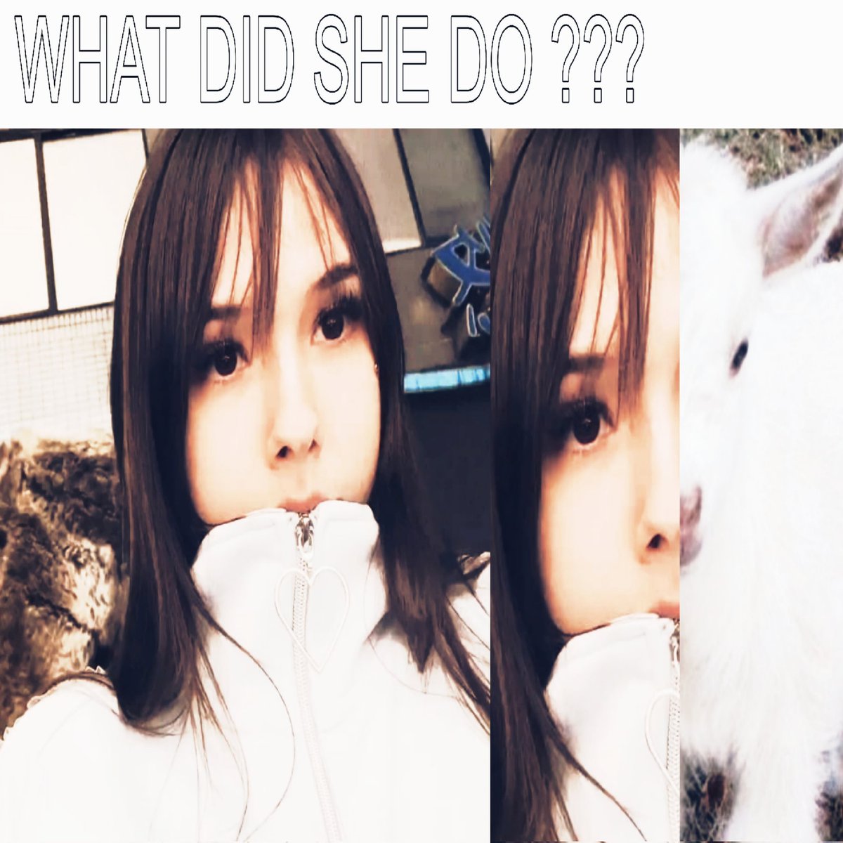 maia online (@spookyripgang) on Twitter photo 