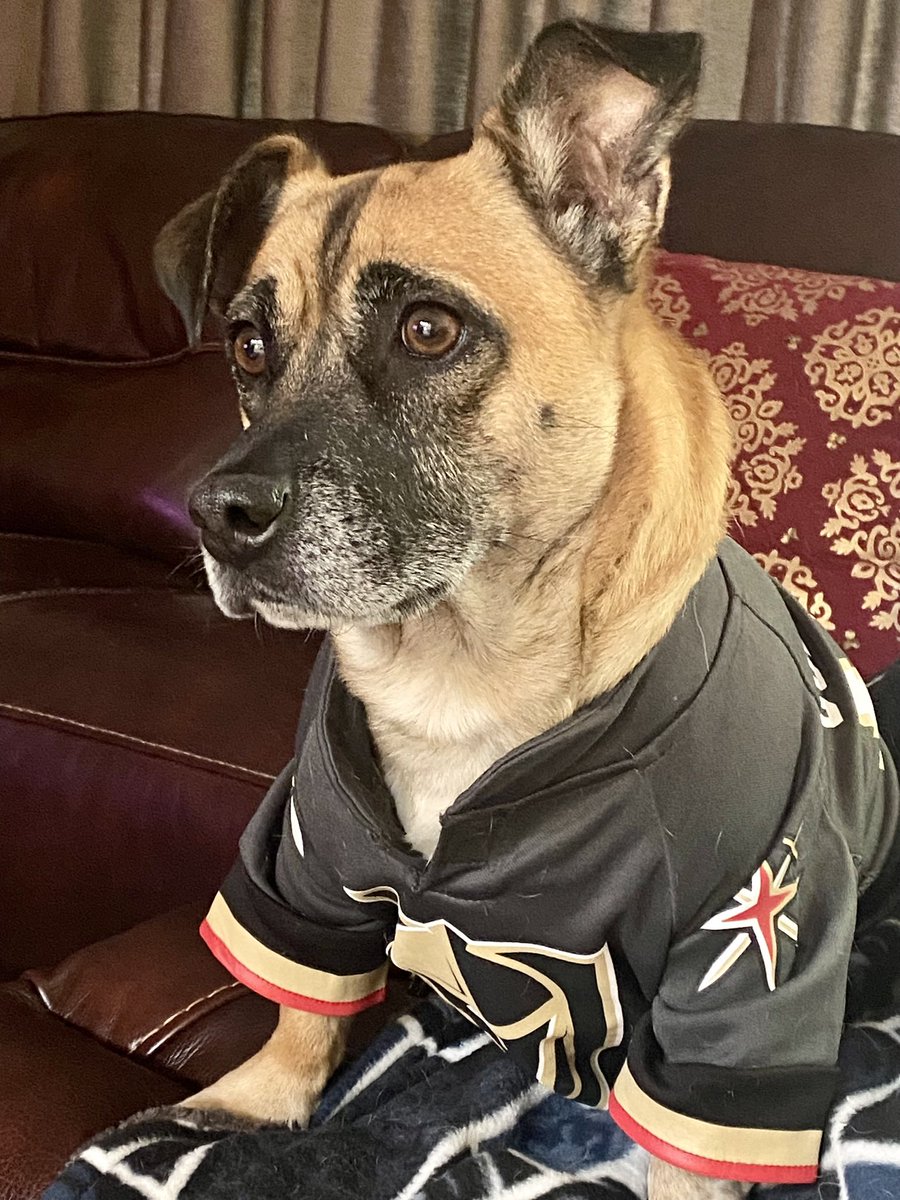 GravesTrish's tweet photo. @GoldenKnights https://t.co/HXhPD0BXMn