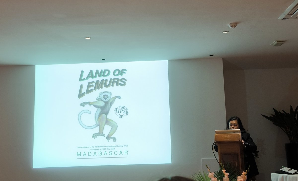 LemursPortal's tweet photo. 🚨 4 lemurs from Madagascar made it to the list of the 25 most endangered primates on Earth💔
🔸𝙈𝒊𝙘𝒓𝙤𝒄𝙚𝒃𝙪𝒔 𝒃𝙚𝒓𝙩𝒉𝙖𝒆 
🔸𝑳𝙚𝒑𝙞𝒍𝙚𝒎𝙪𝒓 𝒔𝙚𝒑𝙩𝒆𝙣𝒕𝙧𝒊𝙤𝒏𝙖𝒍𝙞𝒔
🔸𝙈𝒊𝙧𝒛𝙖 𝙘𝒐𝙦𝒖𝙚𝒓𝙚𝒍𝙞
🔸𝑽𝙖𝒓𝙚𝒄𝙞𝒂 𝒓𝙪𝒃𝙧𝒂
@LemurPortal ,mobilizing for action https://t.co/ZWdeO5cvJc