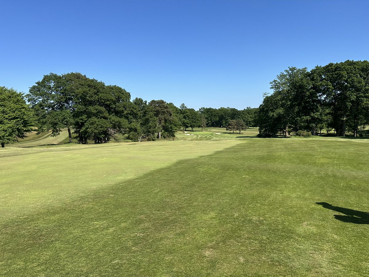 GingermunkyBen's tweet image. Great day @StonehamGC today. Golf no way matched the amazing golf course.
Thanks for organising @plestee